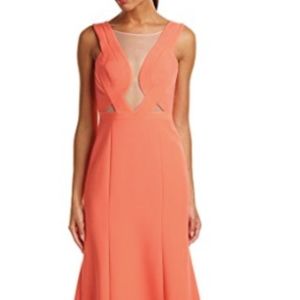 BCBG LULU AMBROSIA SLEEVELESS GOWN!